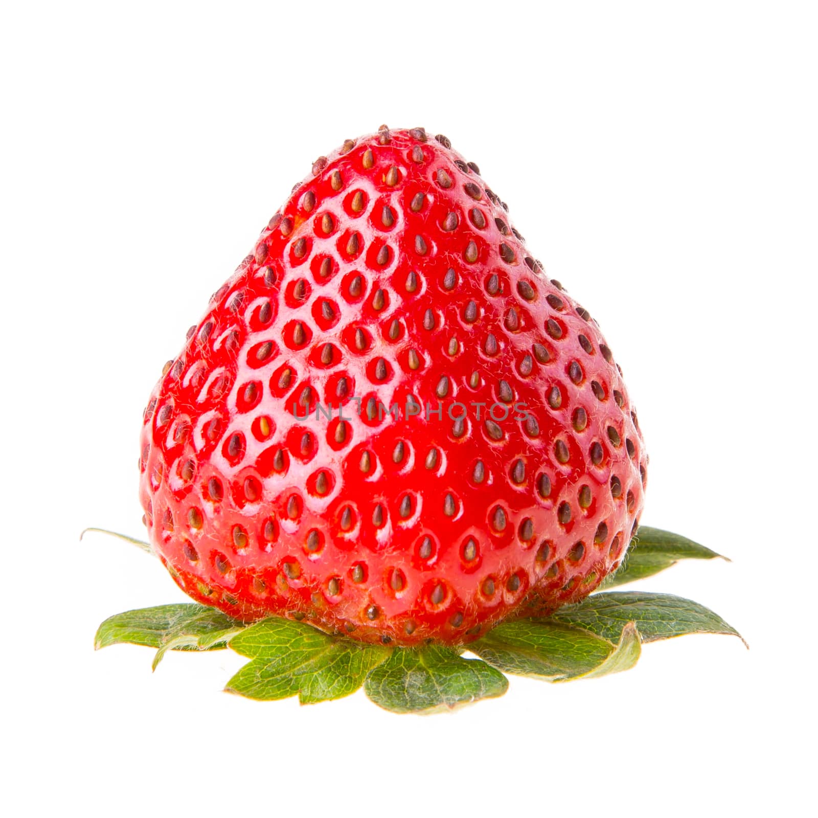 Strawberries isolated on a white background.