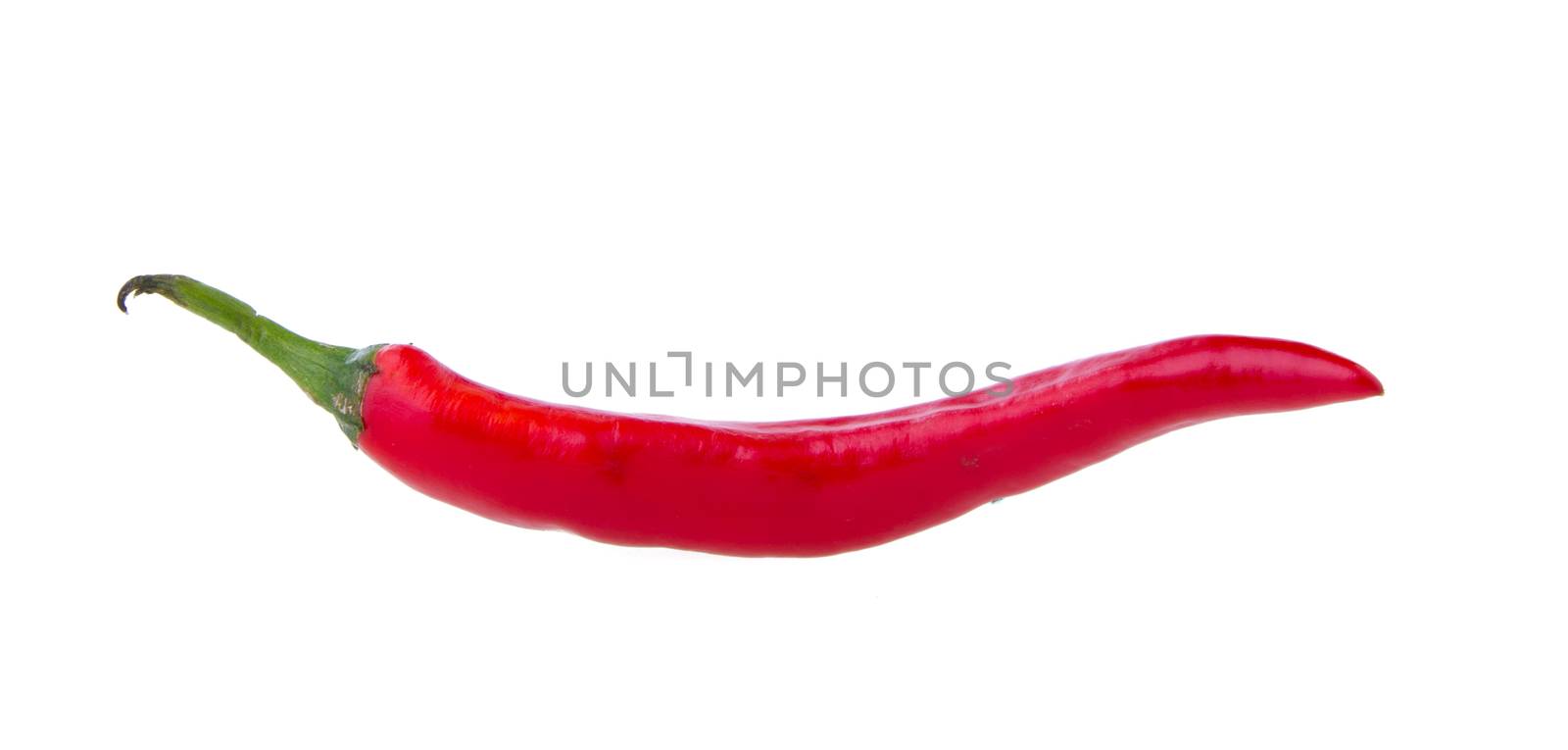 Hot chili peppers isolated on white background