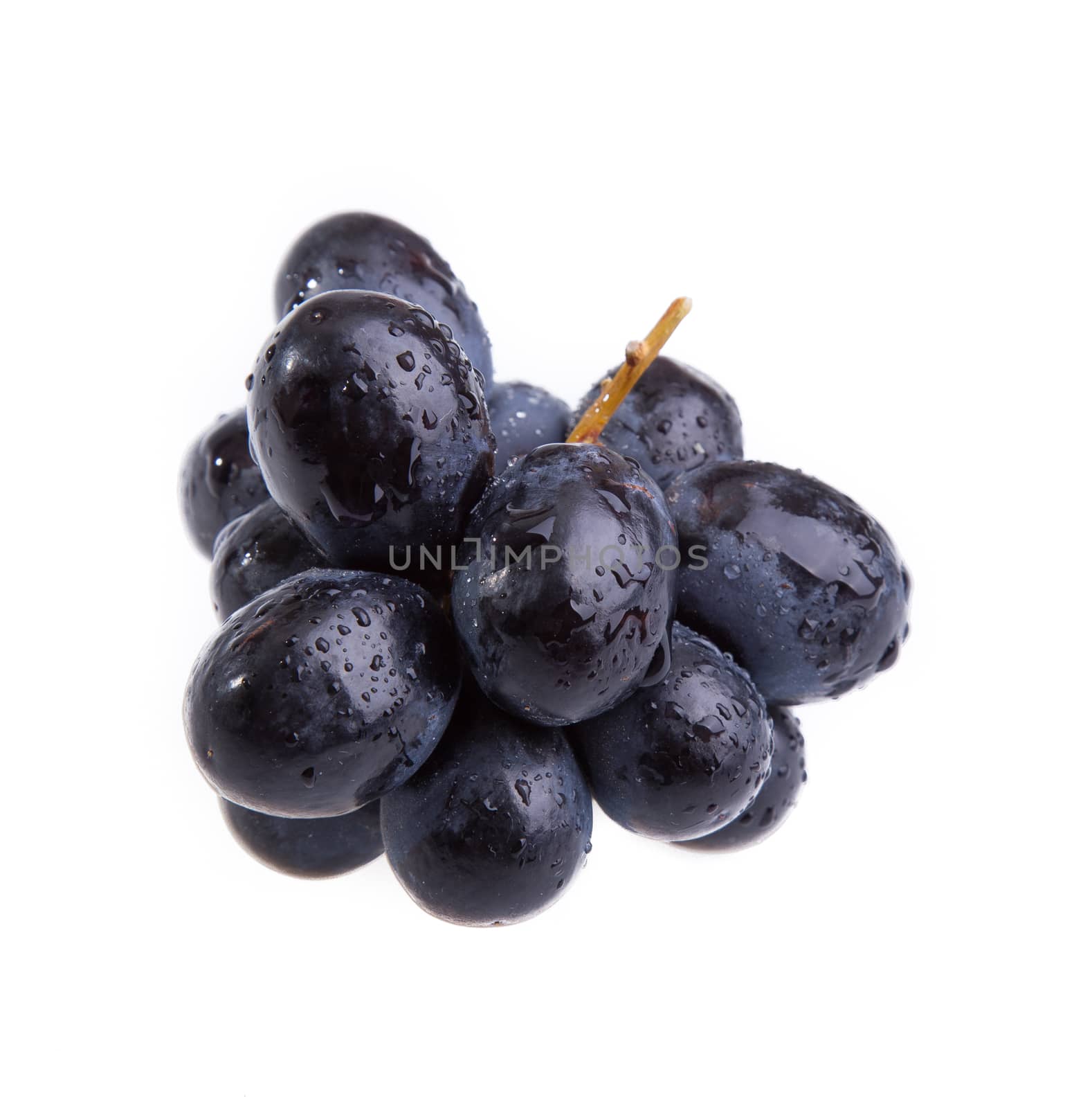 small bunch of black grapes isolated on white background