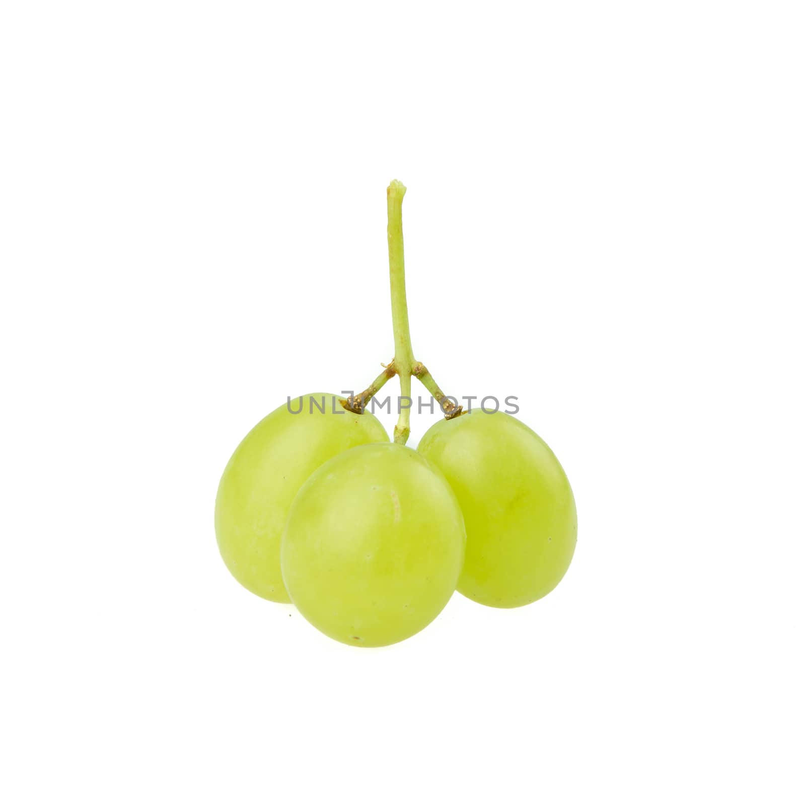 Green grape by tehcheesiong
