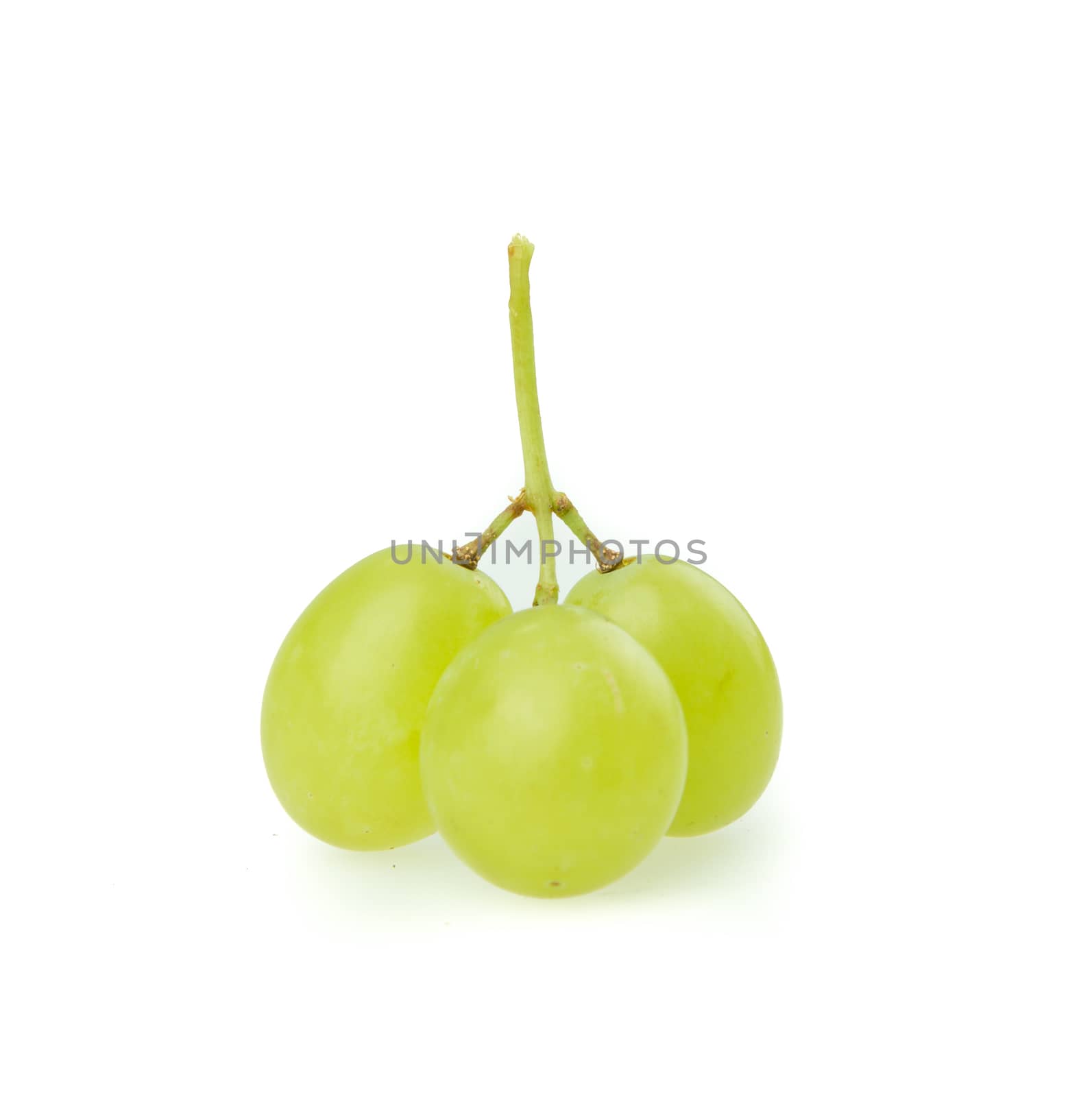 Green grape by tehcheesiong