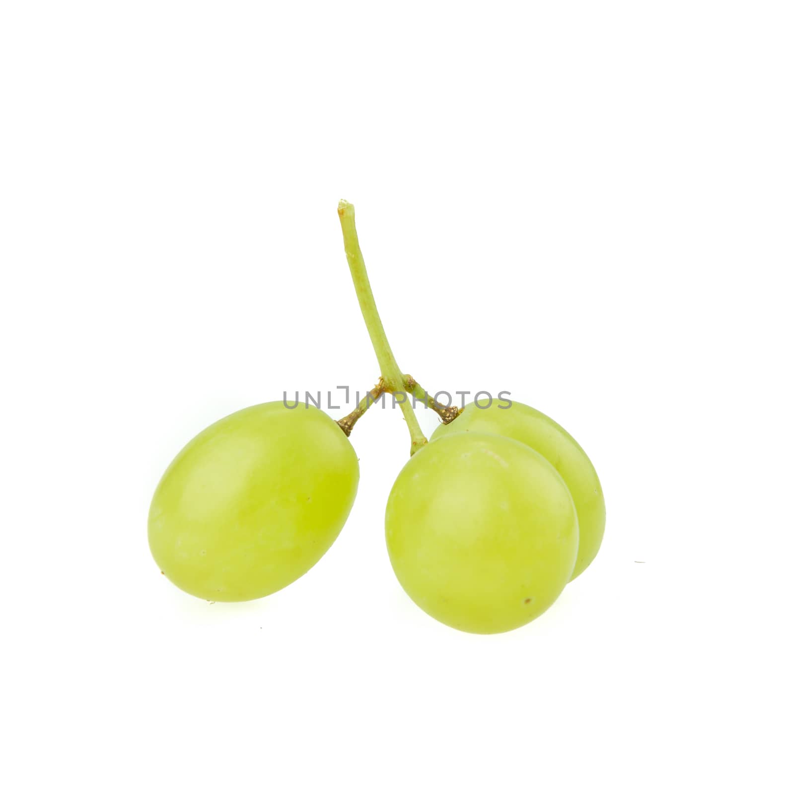 Green grape isolated on white background