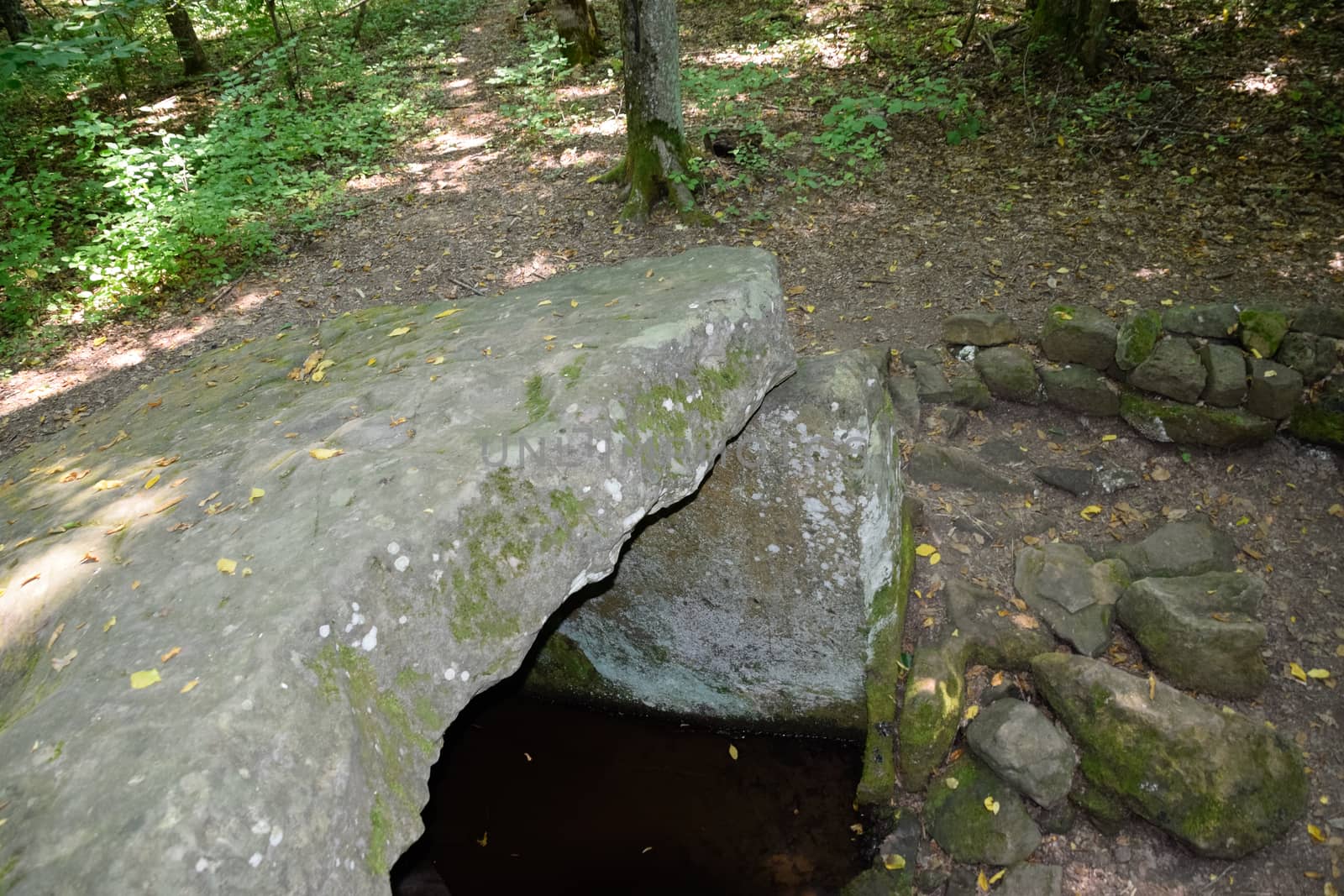 Dolmen in Shapsug. Forest in the city near the village of Shapsugskaya, the sights are dolmens and ruins of ancient civilization.