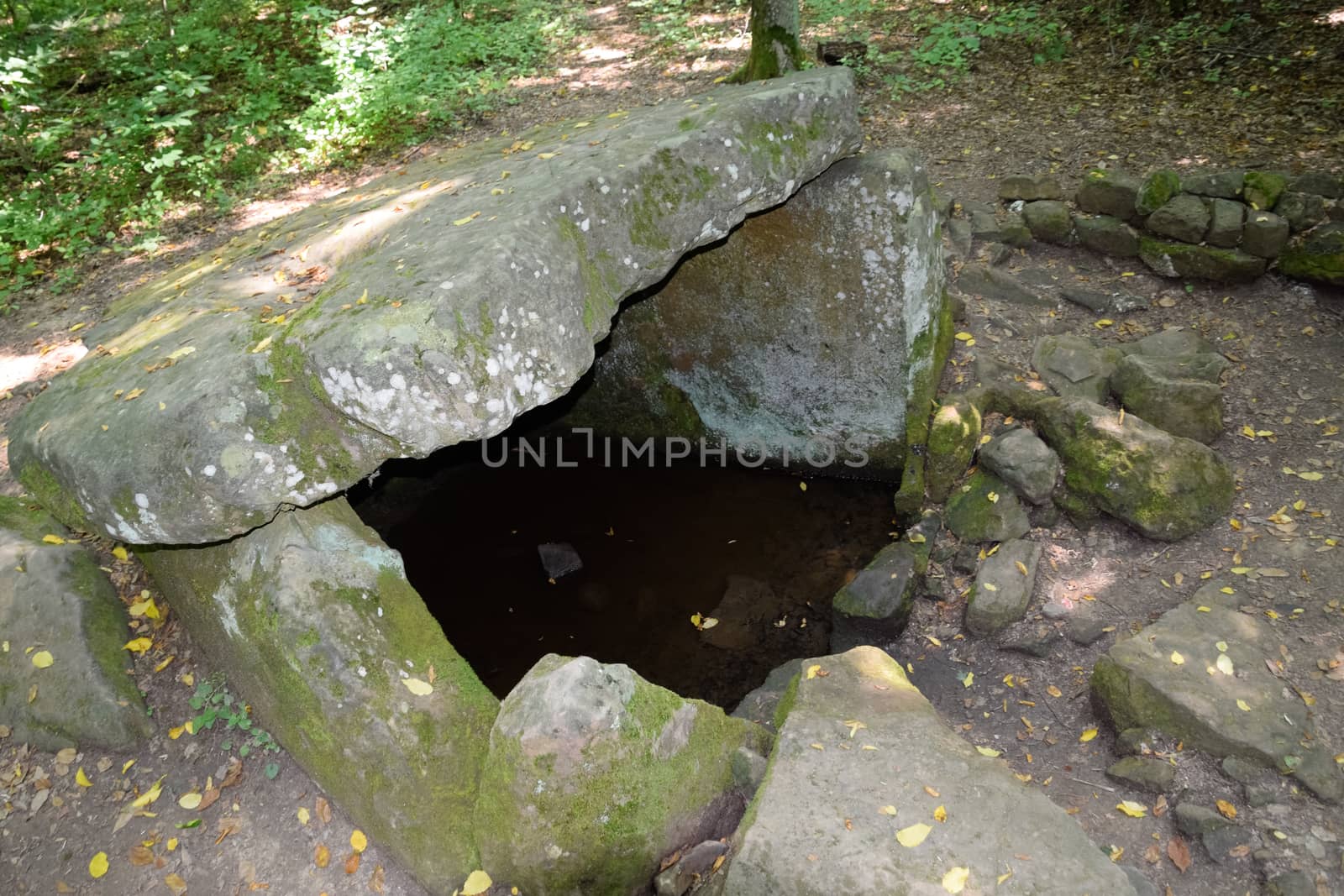Dolmen in Shapsug. Forest in the city near the village of Shapsugskaya, the sights are dolmens and ruins of ancient civilization.