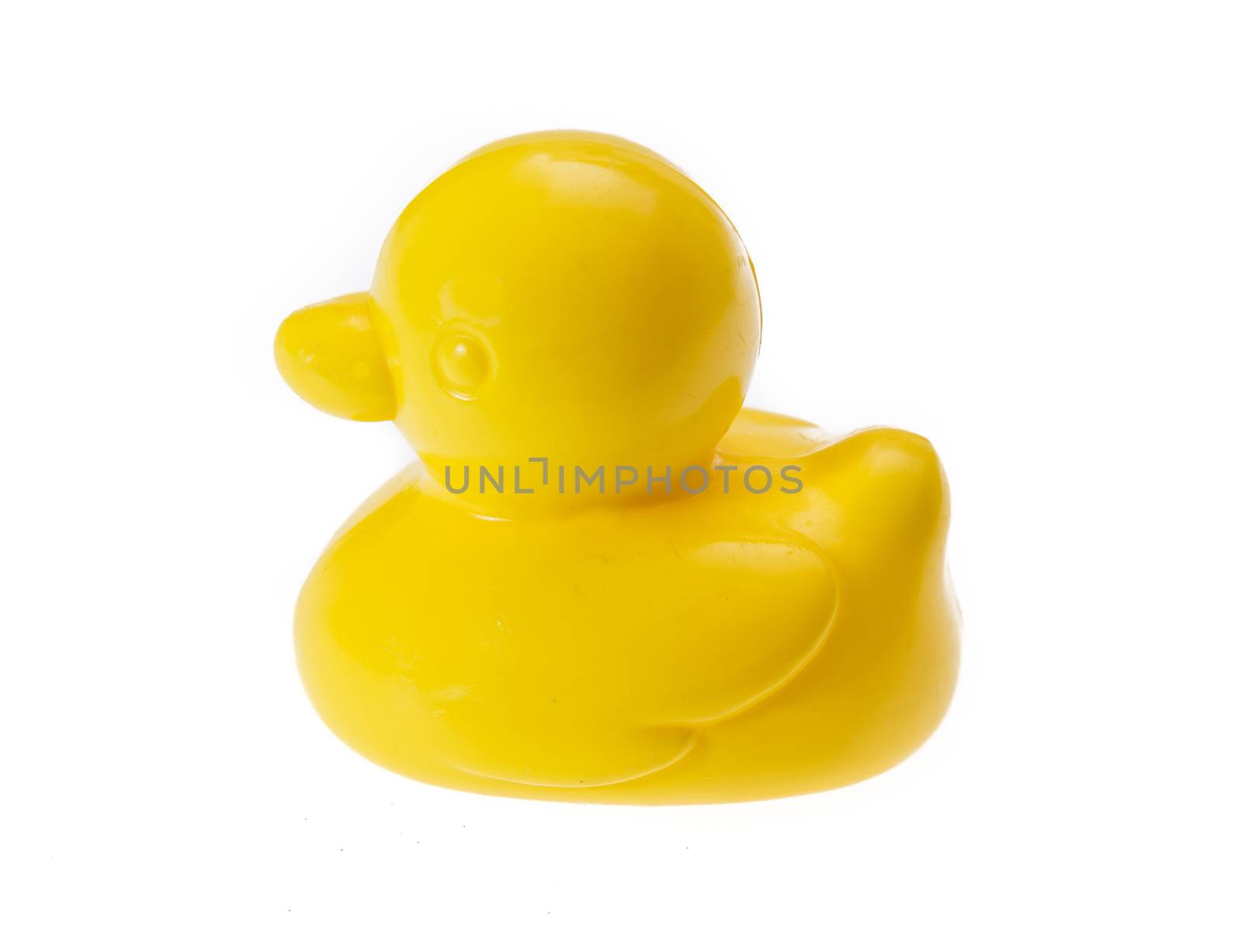 yellow rubber duck isolated on white