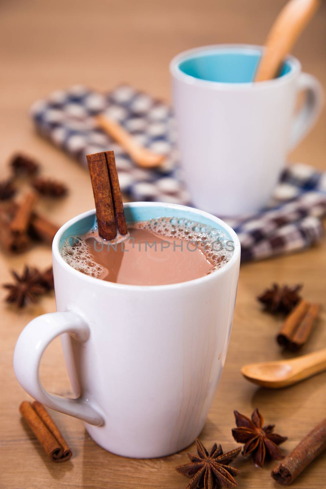 Hot chocolate with cinnamon stick as spoon