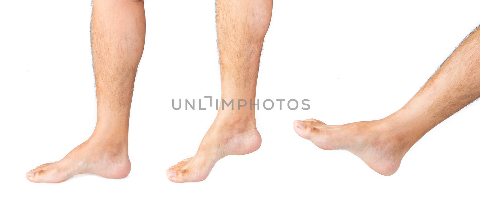 man leg isolated on white background