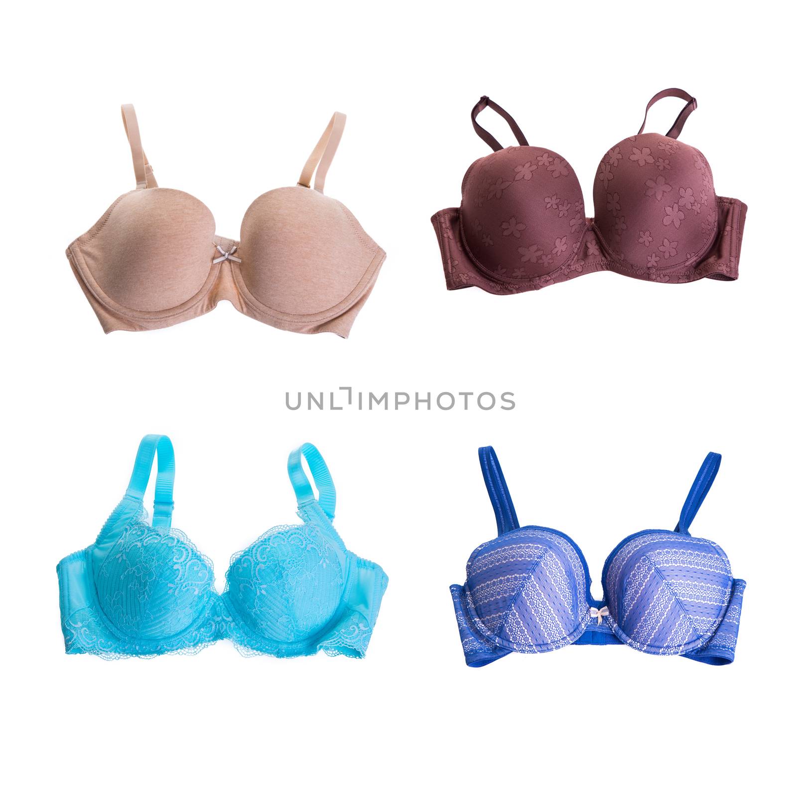 various type of bra isolated on white background