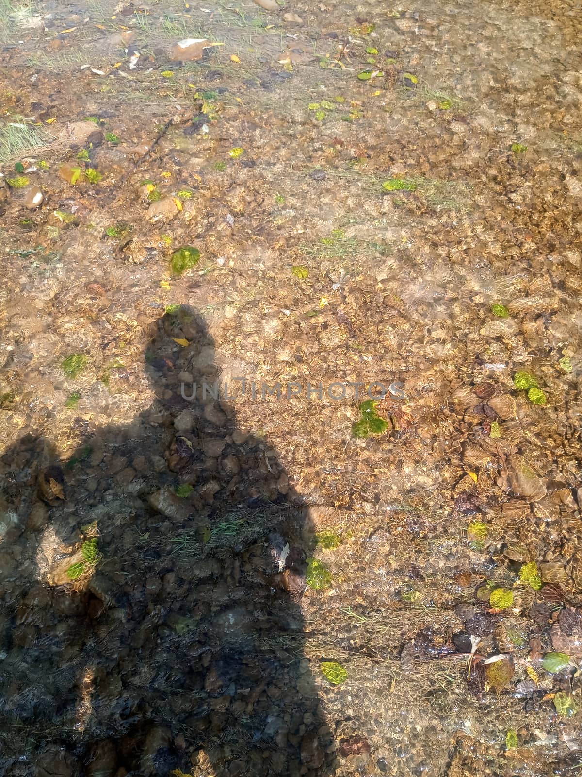 Shadow of a man against the background of a shallow mountain river. A shallow mountain river, the bottom of a mountain river of stones and gravel.