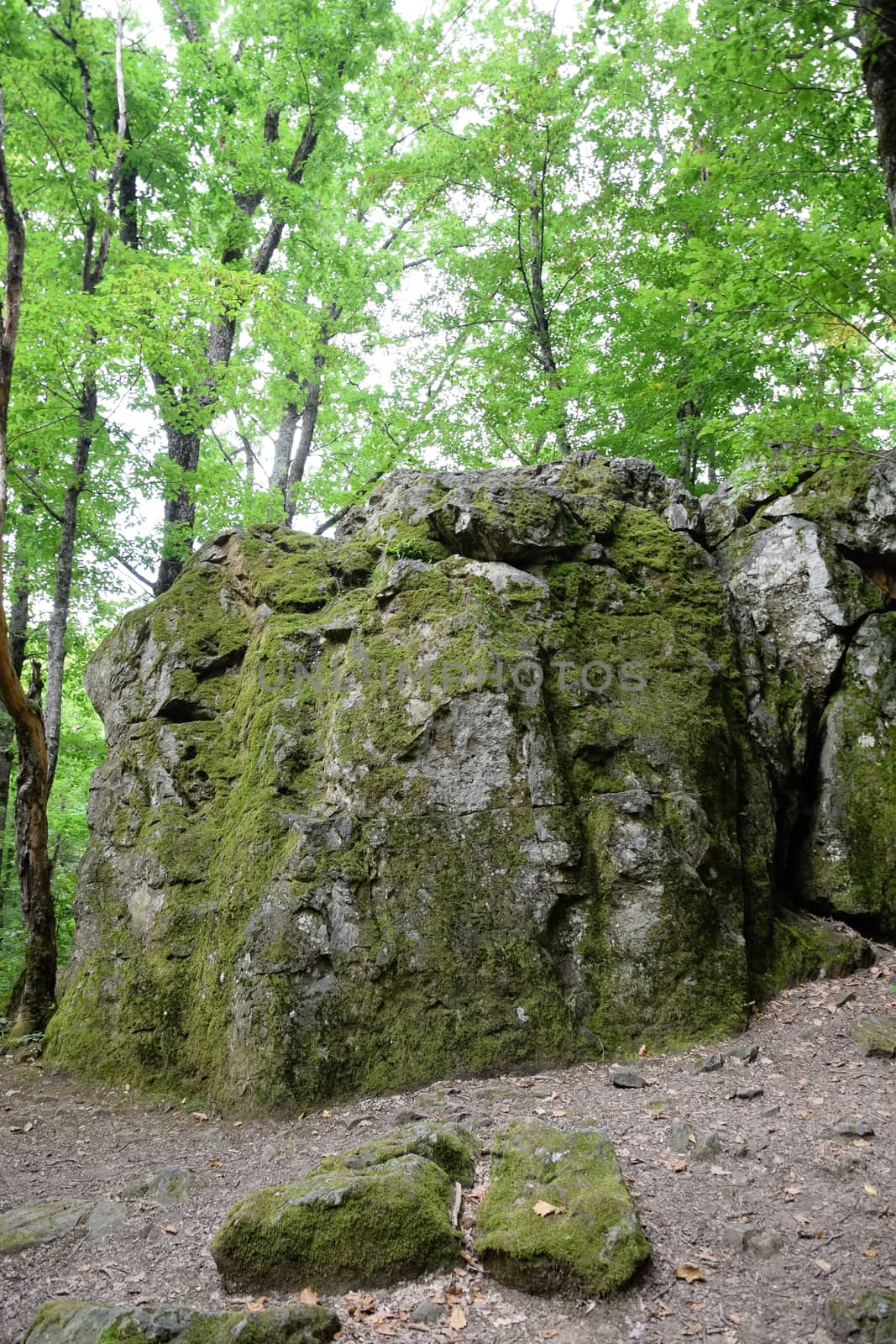 The rock is a bloody finger. Landmark in the Shapsugi Forest.