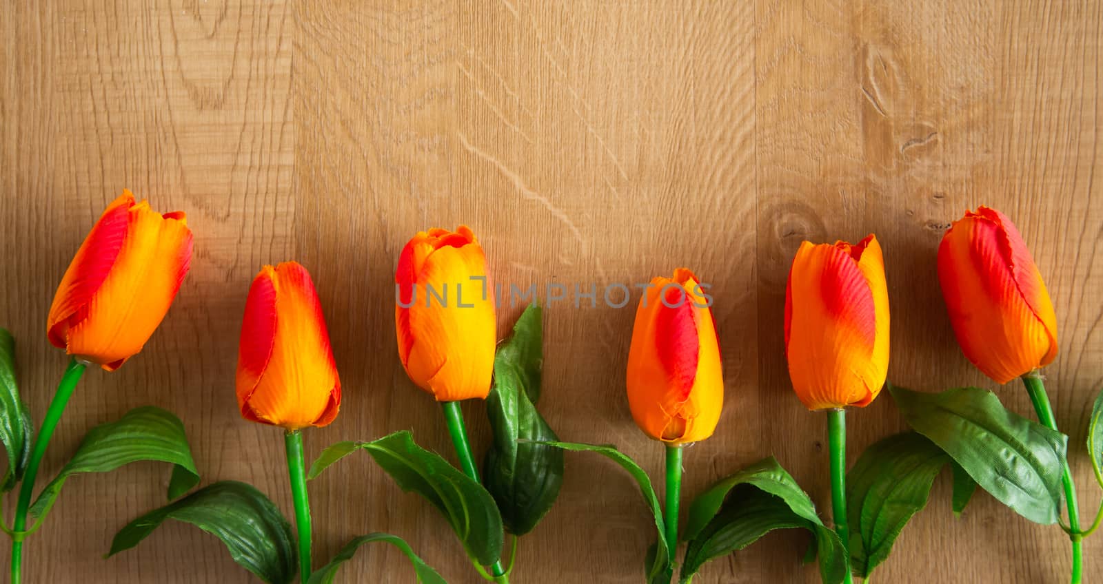 Tulips bunch on wooden background. Space for text.