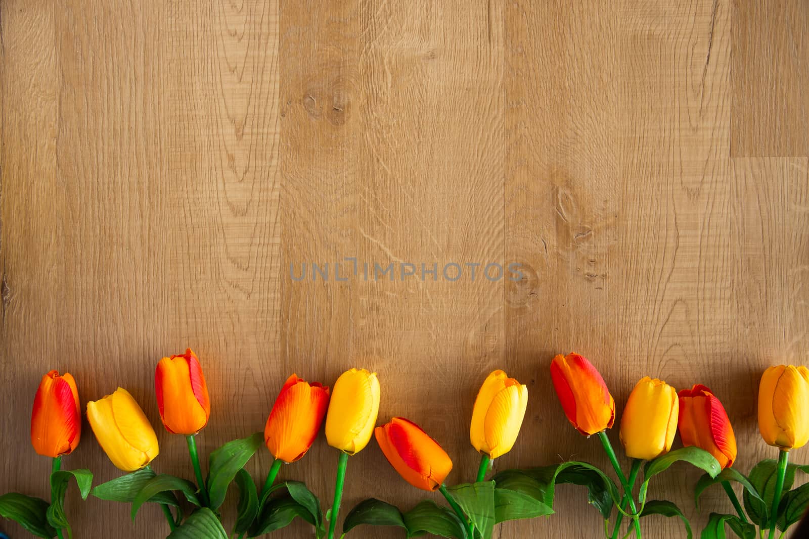 Tulips bunch on wooden background. Space for text.