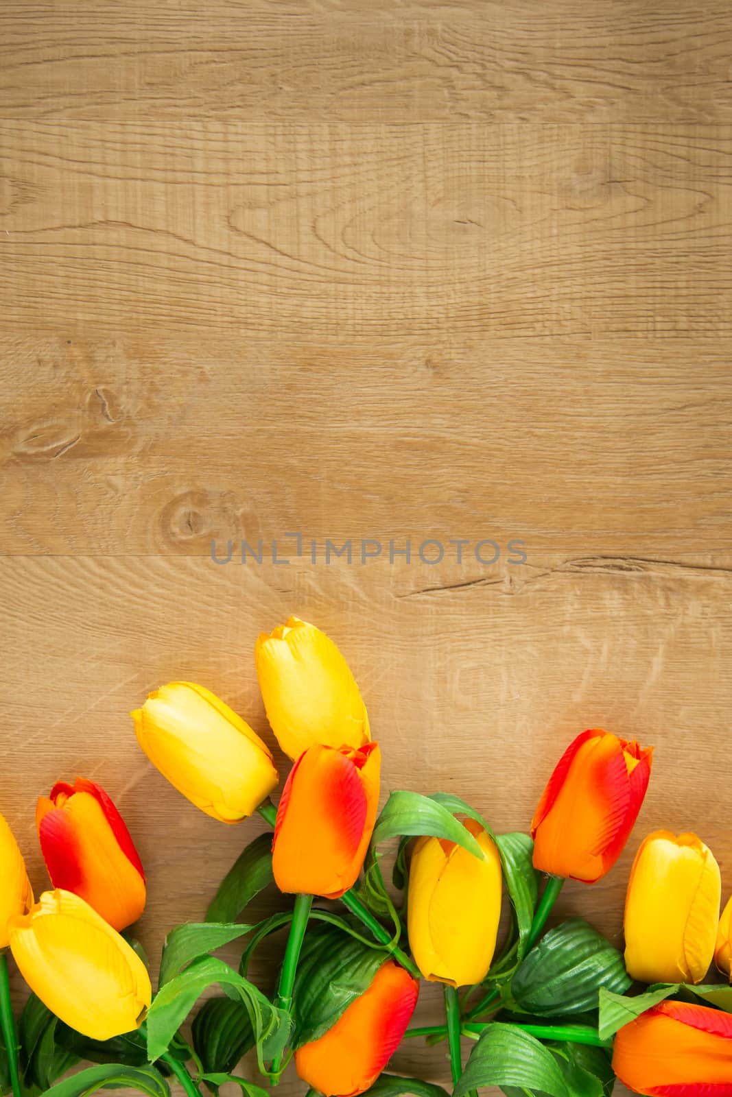 Tulips bunch on wooden background by tehcheesiong