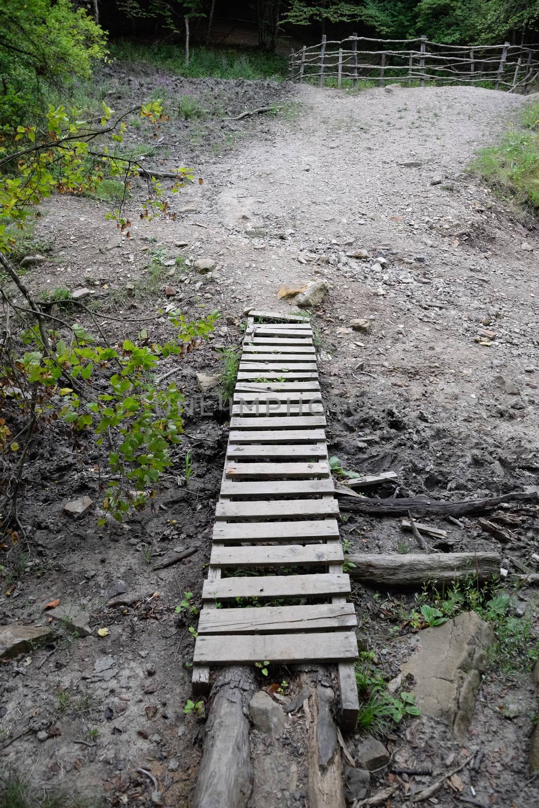 Wooden flooring is a fucking passage through the mud, a mud volcano in the forest.