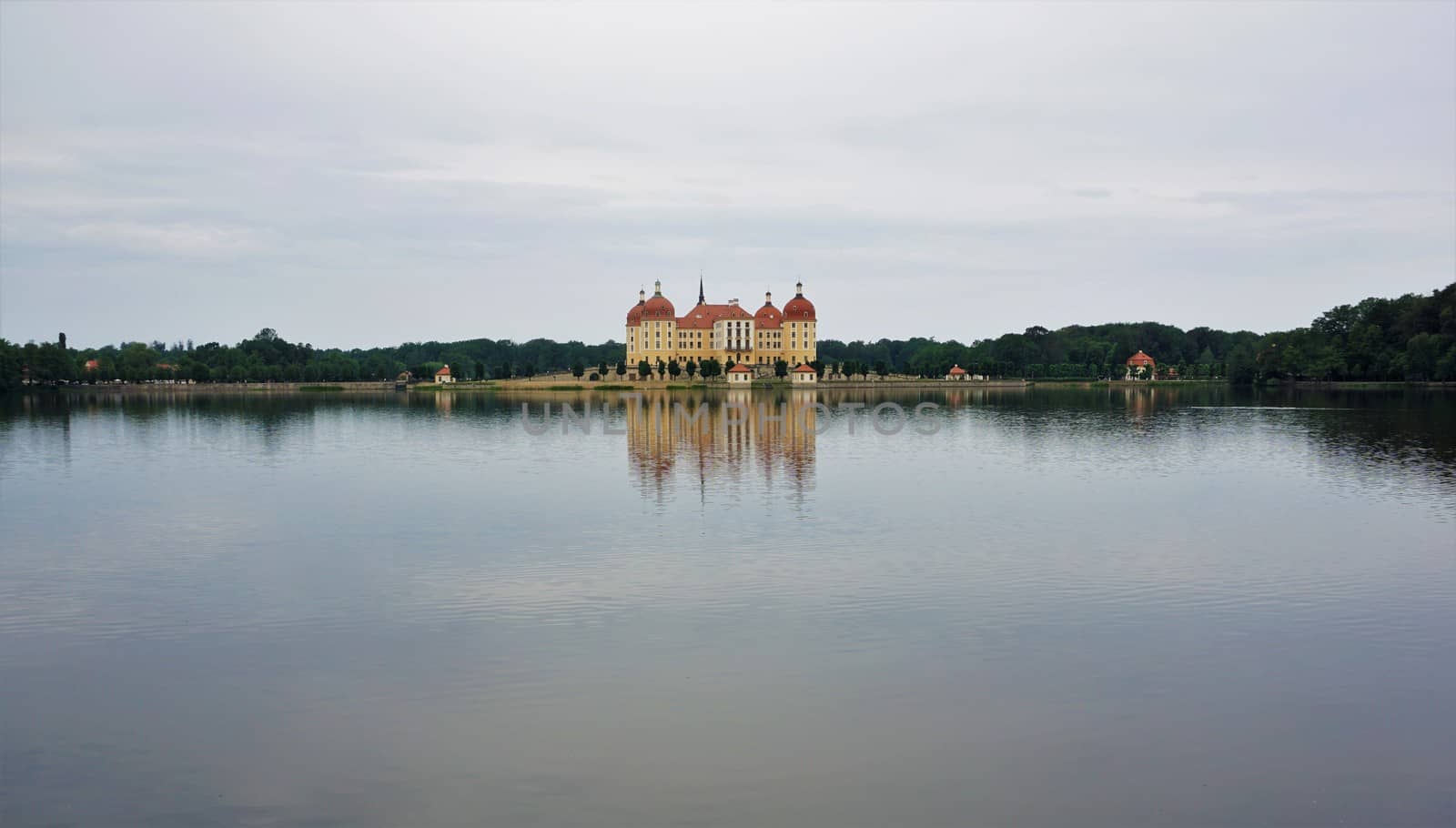 Moritzburg castle reflecting in the castle lake, Saxony, Germany