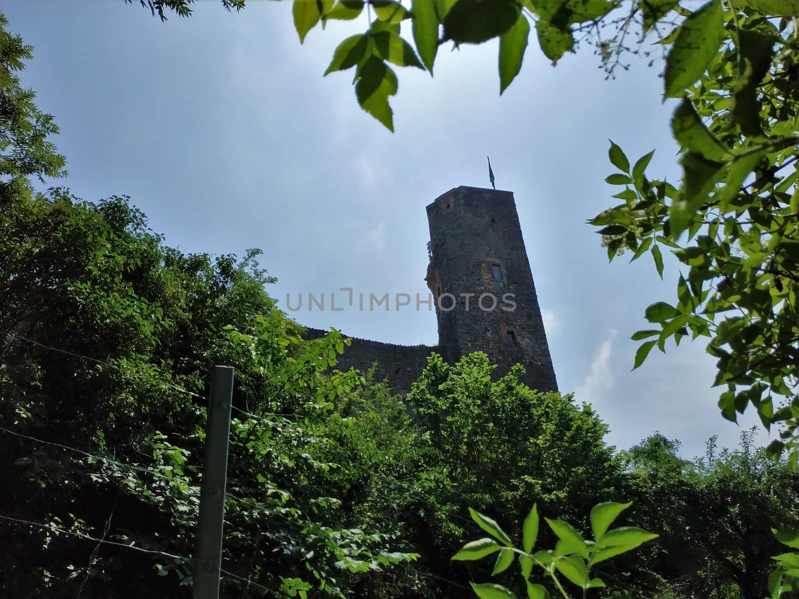 Tower of beautiful Stolpen castle hidden behind trees