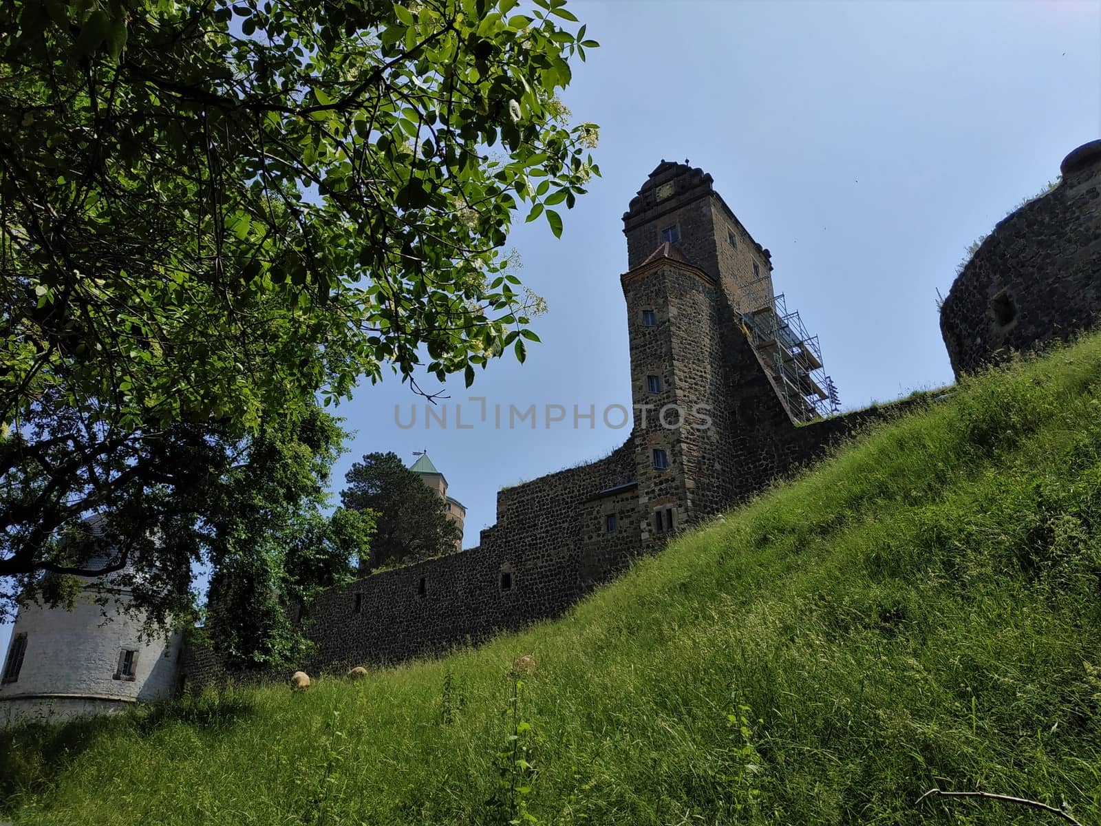 Stolpen castle with castle hill and meadow in front of blue sky by pisces2386