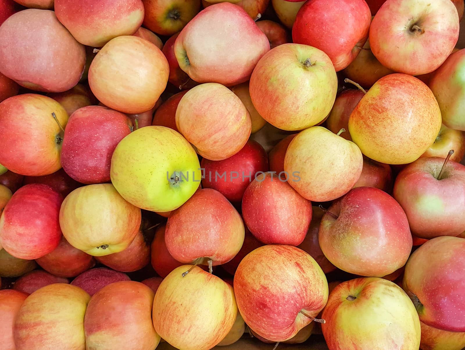 Large group of red green apples as texture background