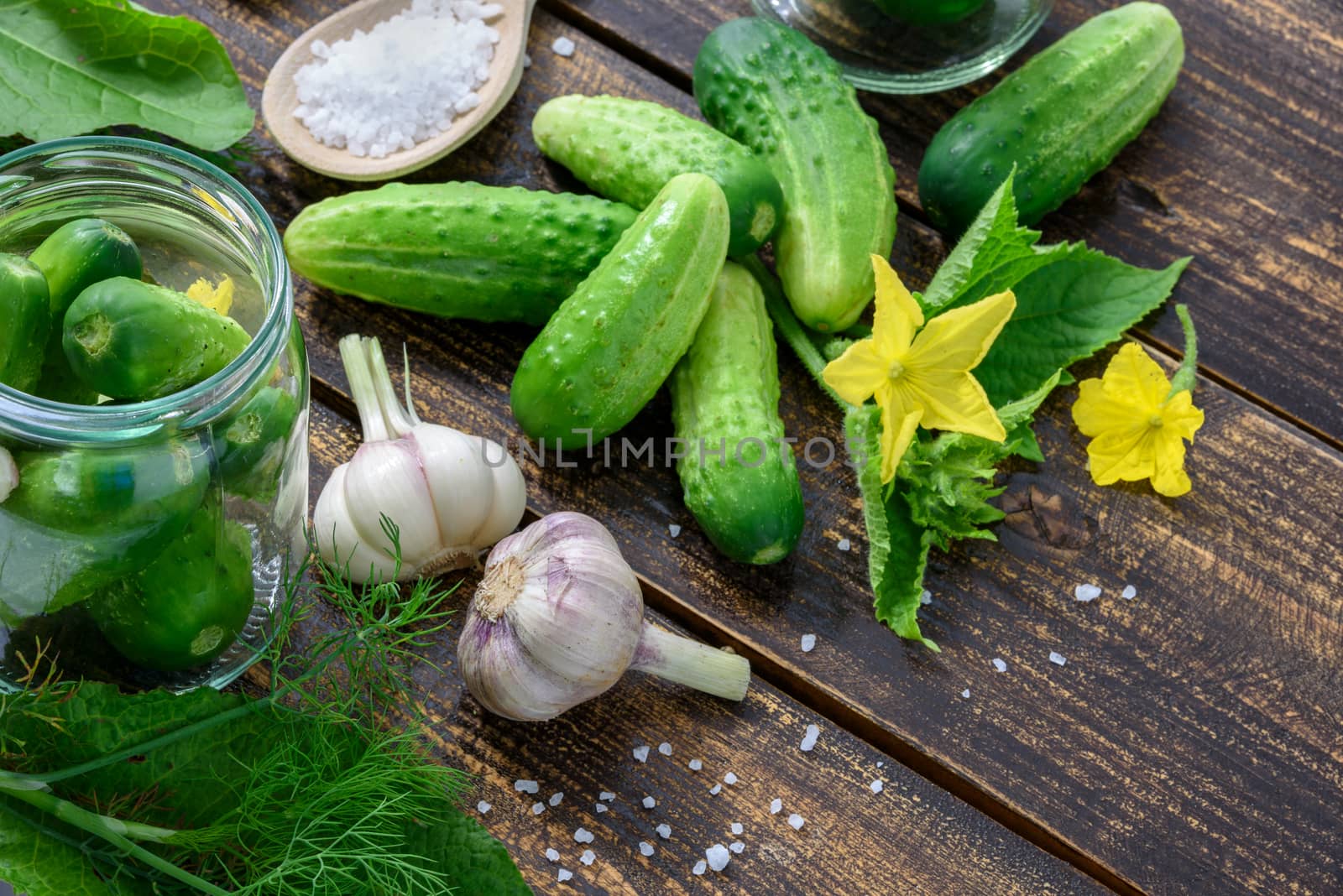 The concept of 
ingredients of homemade preserves - jars of pickled cucumbers on a wooden table next to raw green ground cucumbers, dill, sea salt, garlic and horseradish.