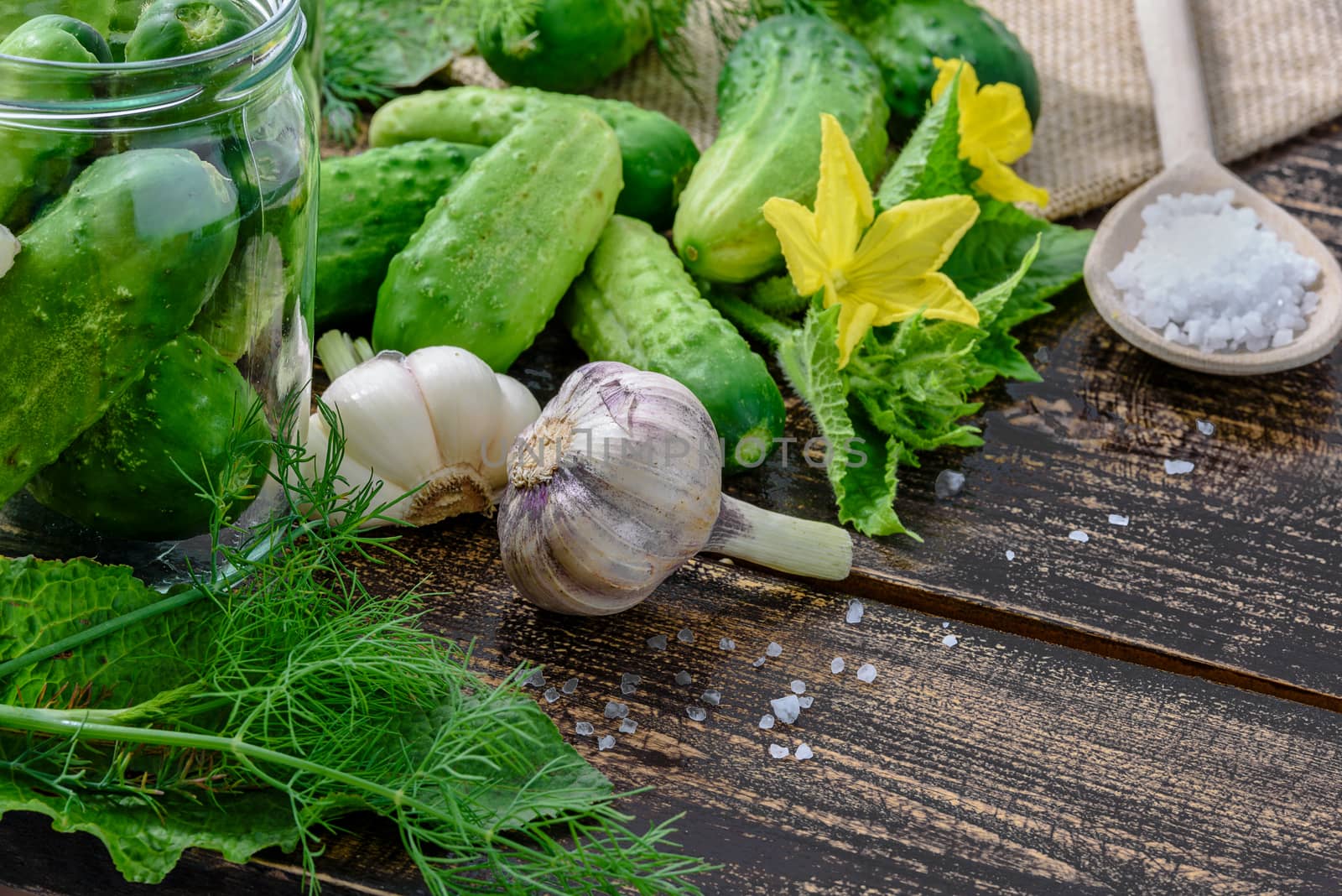 The concept of ingredients of homemade preserves - jars of pickled cucumbers on a wooden table next to raw green ground cucumbers, dill, sea salt, garlic and horseradish.