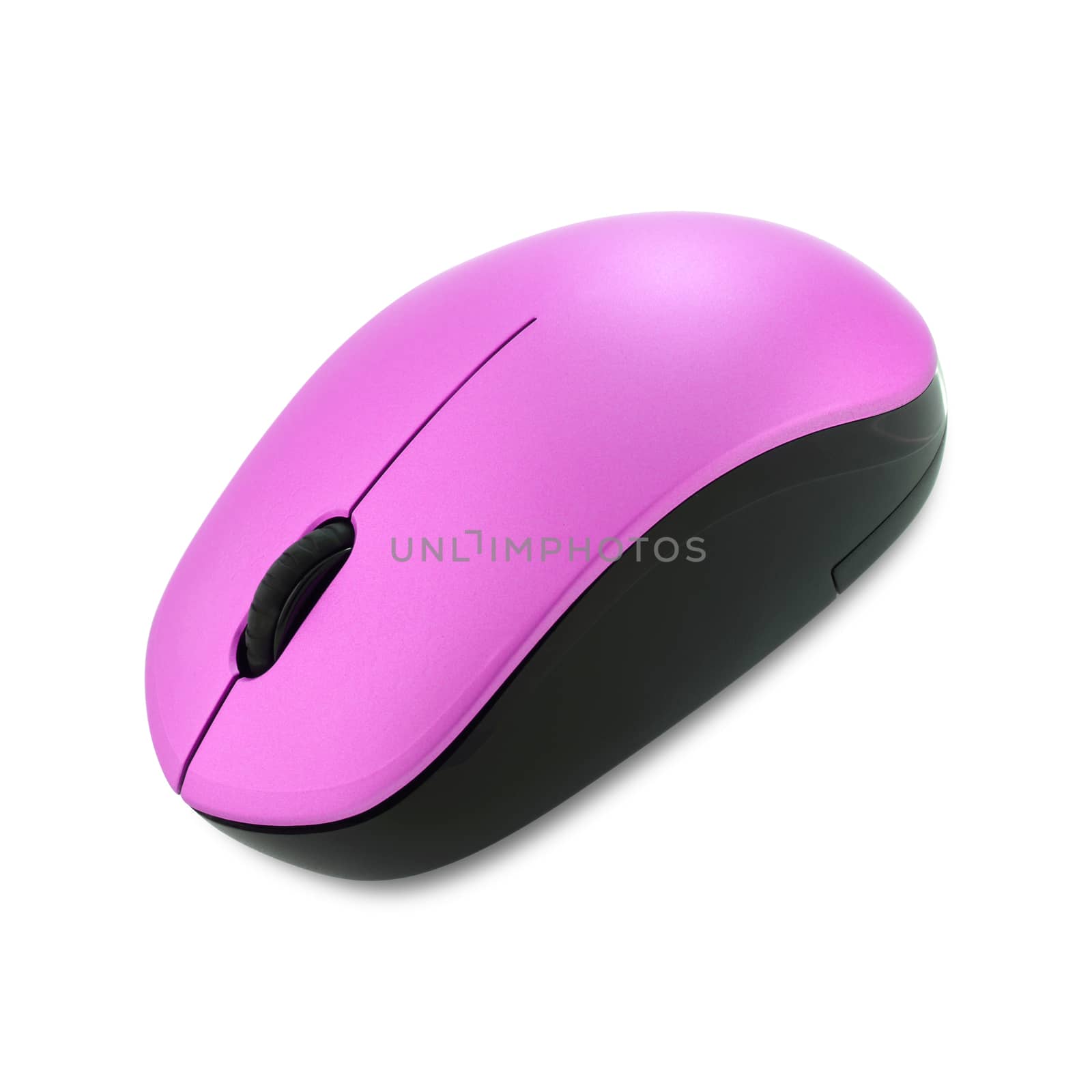 A pink scolling wireless computer mouse on a white background with clipping path
