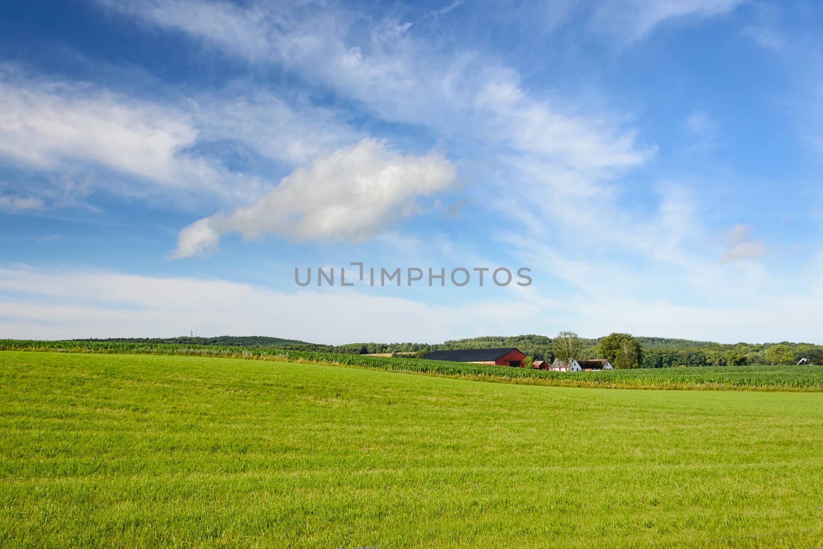 Idyllic landscape of agricultural fields with farm buildings on a background of blue sky and clouds