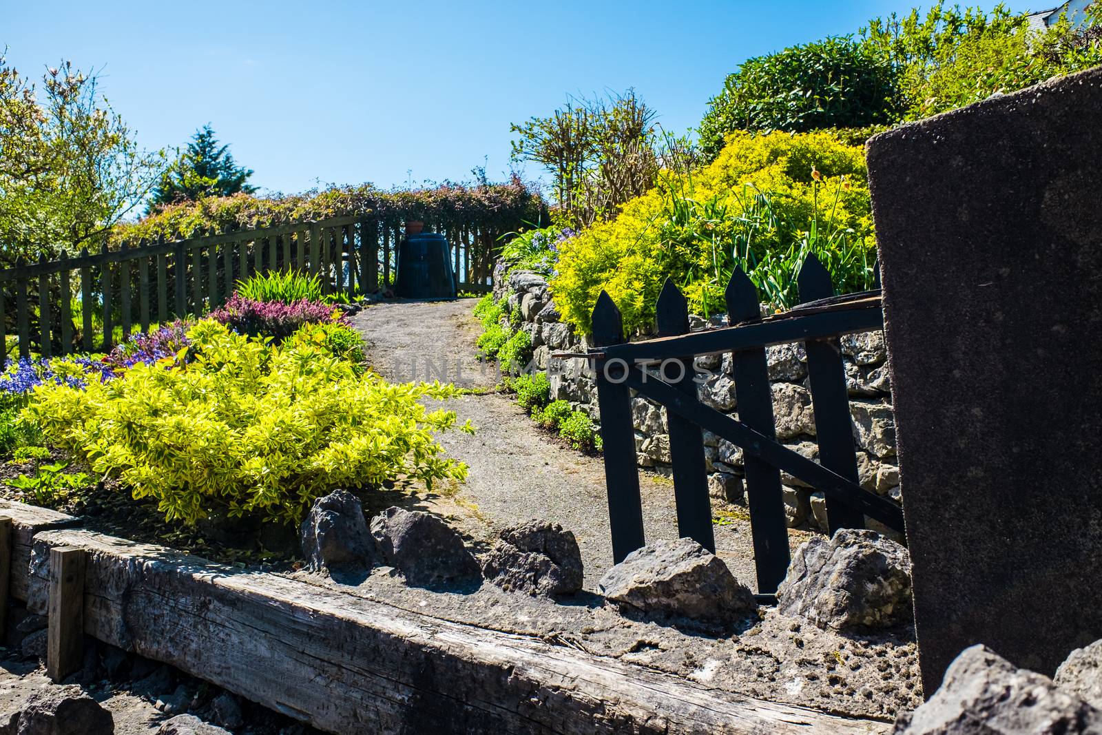 Sloping path in English cottage garden by paddythegolfer