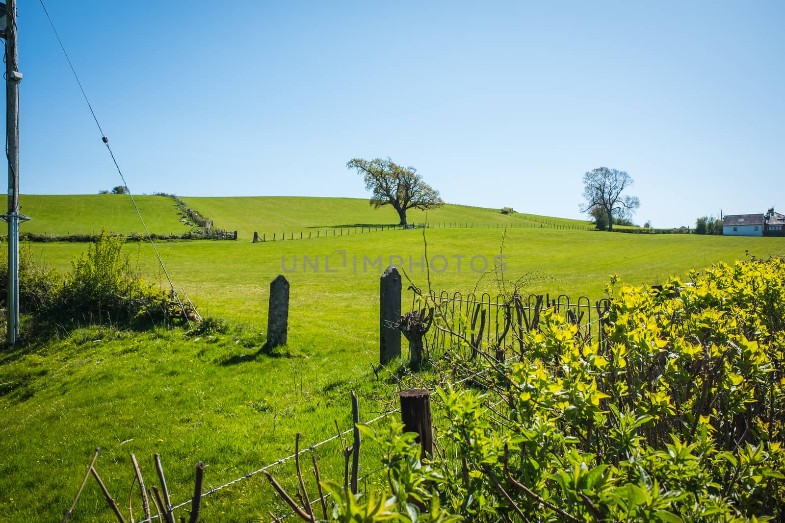 views across open fields in Milnthopre England by paddythegolfer