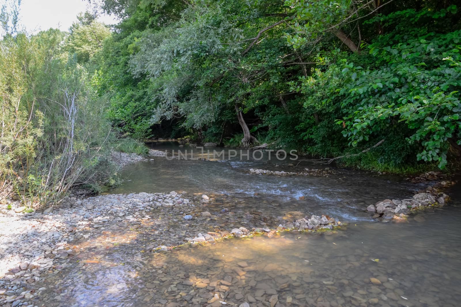 A shallow mountain river, the bottom of a mountain river of stones and gravel.