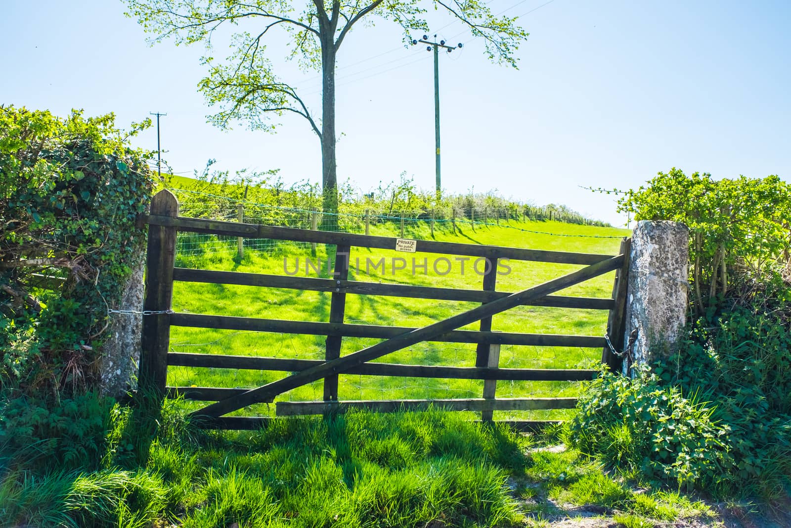 views across open fields in Milnthopre England by paddythegolfer