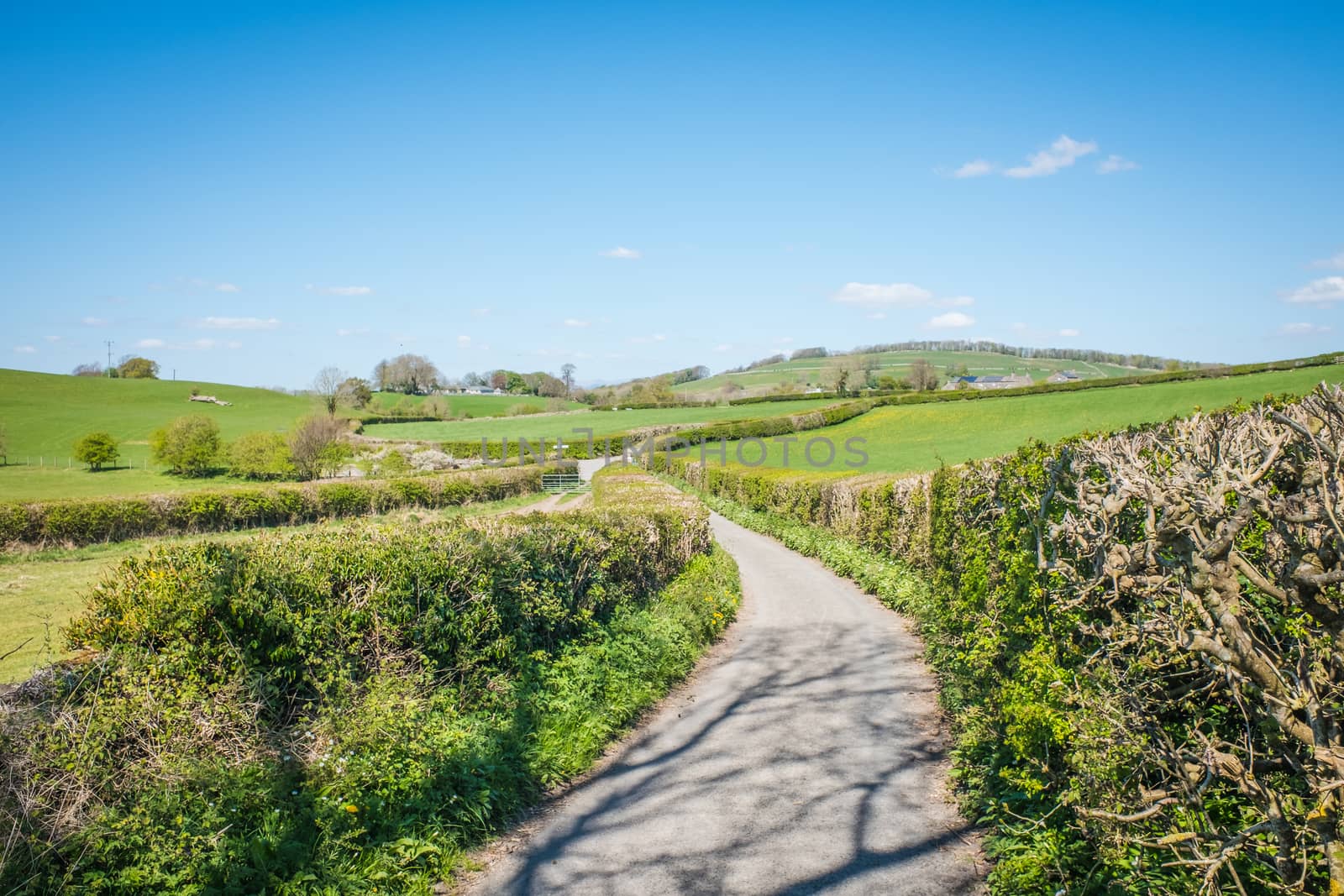 views across open fields in Milnthopre England by paddythegolfer