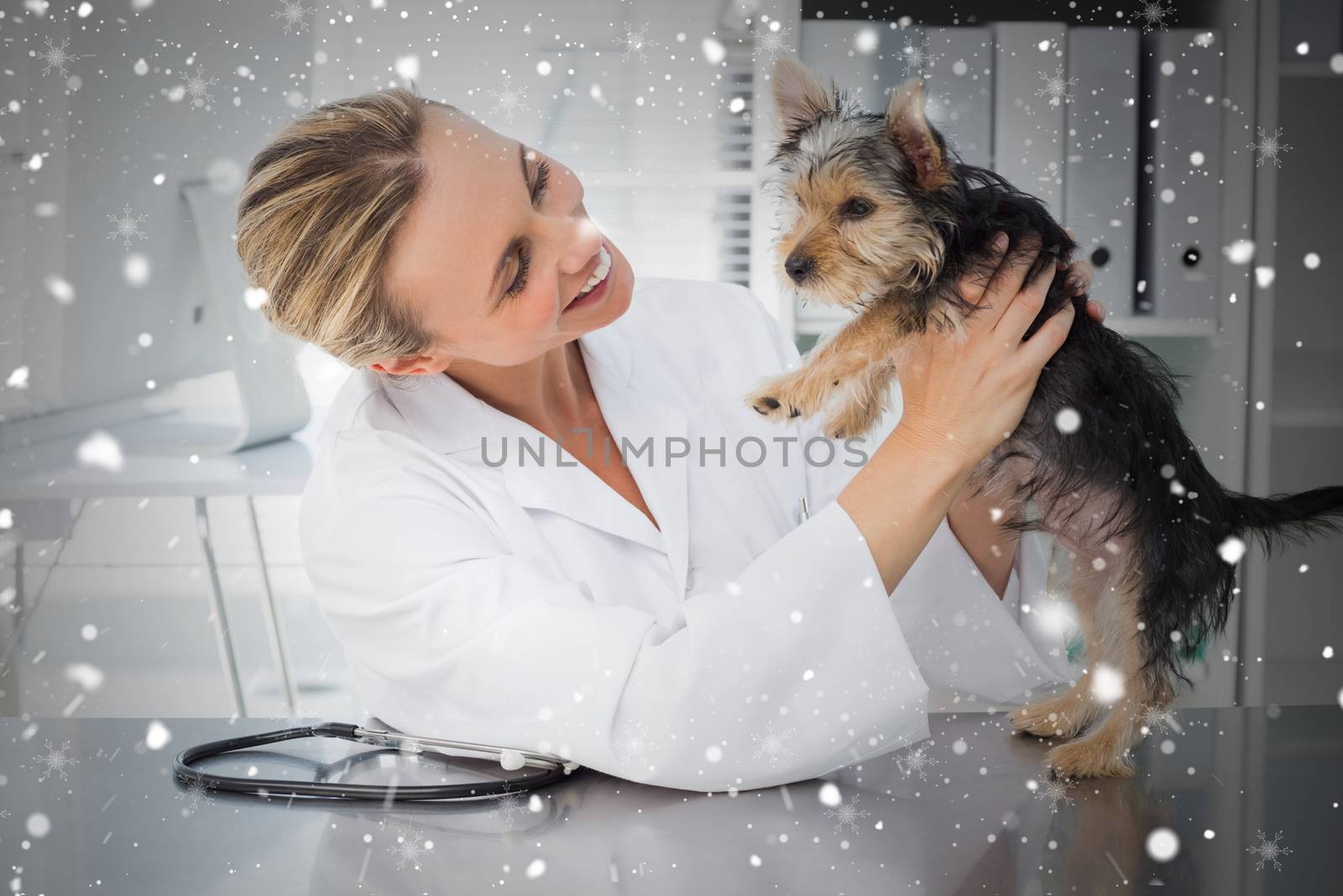 Composite image of veterinarian examining dog by Wavebreakmedia