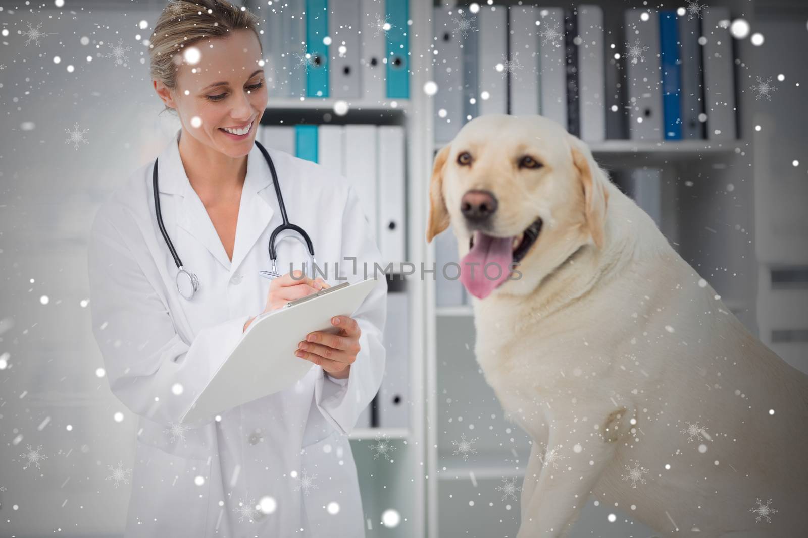 Composite image of veterinarian writing prescription for dog by Wavebreakmedia