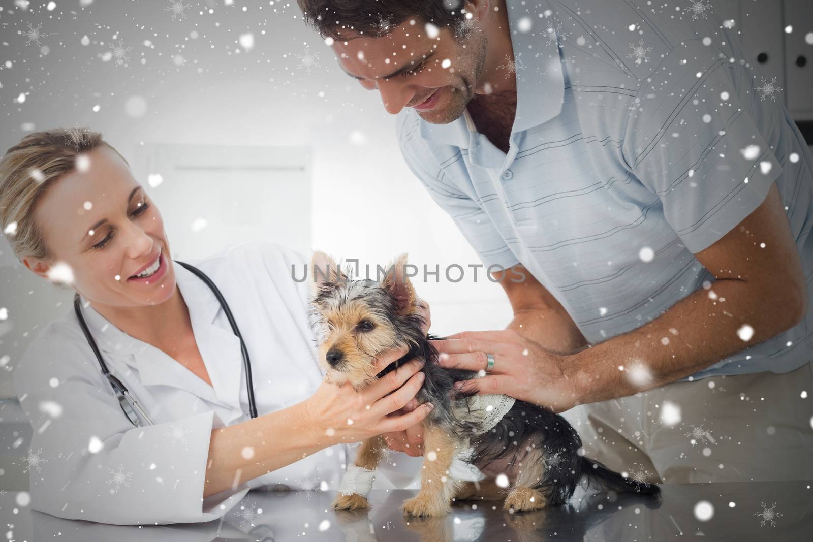 Composite image of vet examining puppy with man by Wavebreakmedia