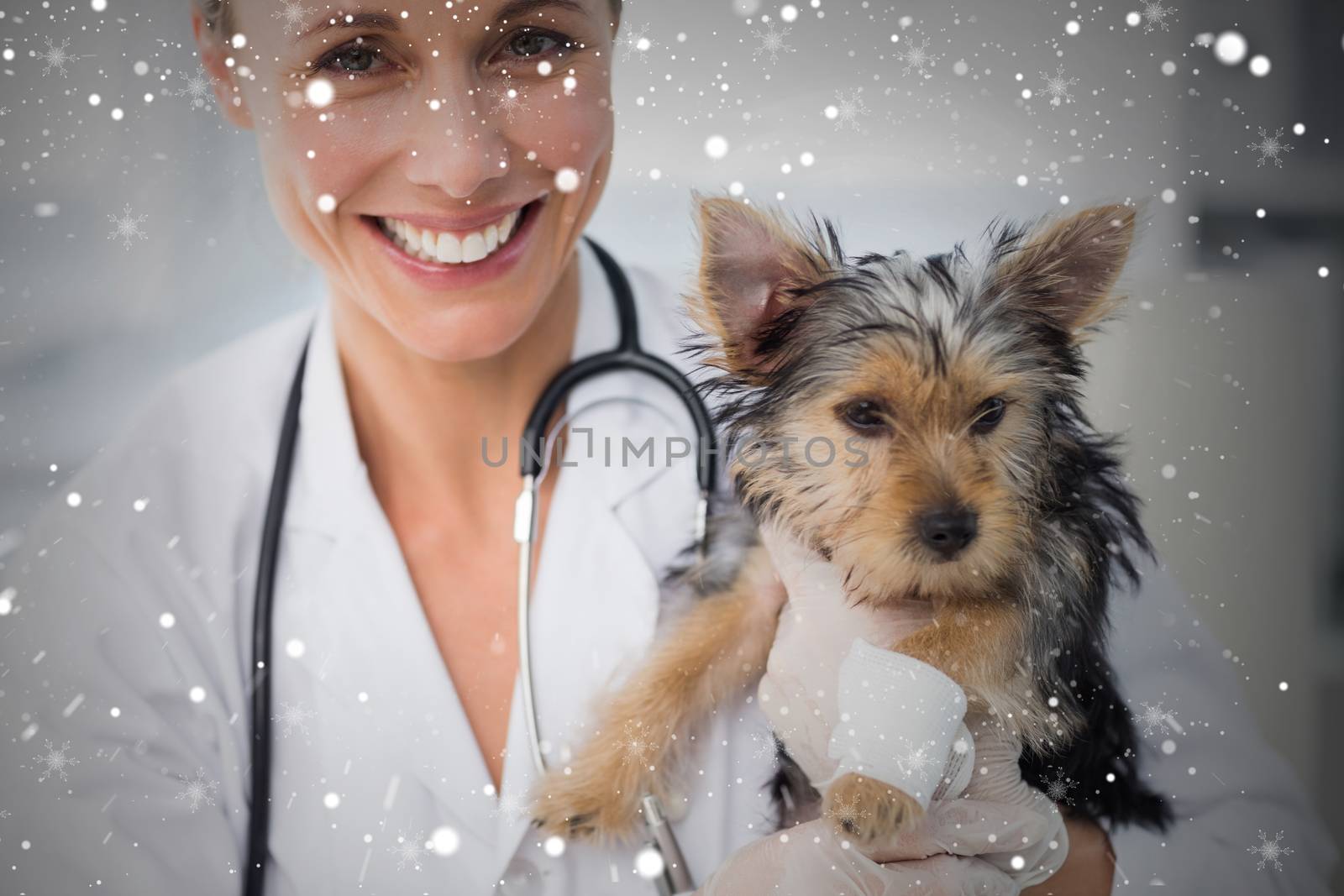 Composite image of smiling female vet holding cute puppy against snow