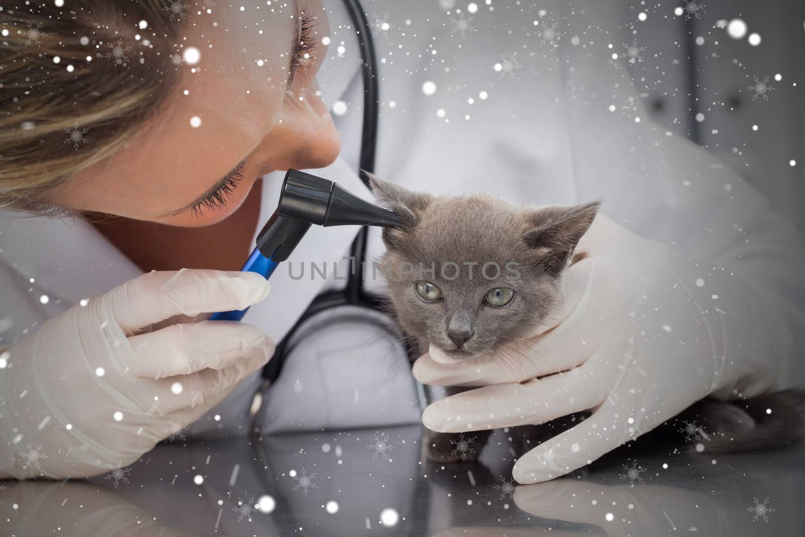 Composite image of vet examining ear of kitten against snow