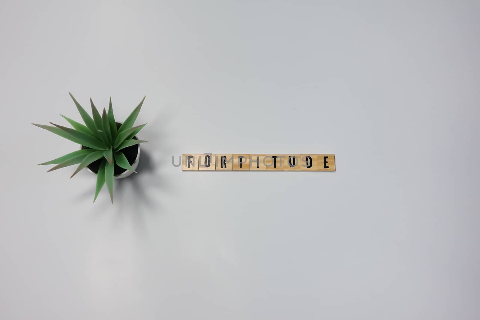 The word Fortitude written in wooden letter tiles on a white bac by Jshanebutt