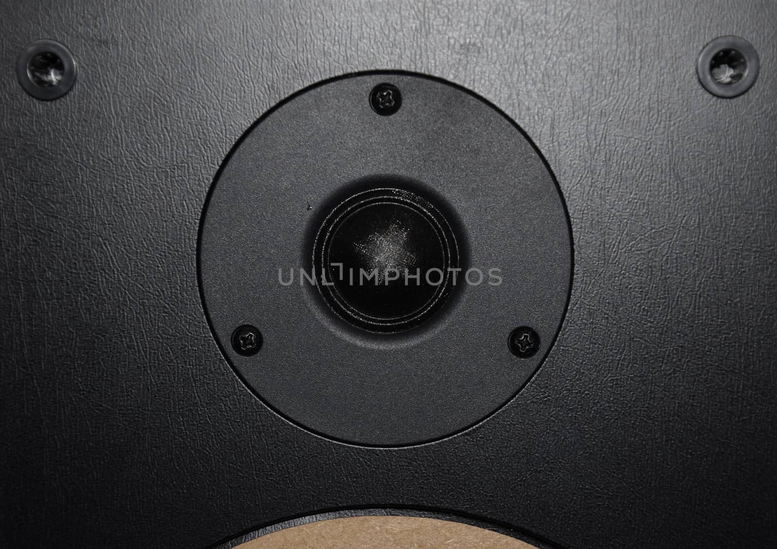 High frequency speaker of the speaker system