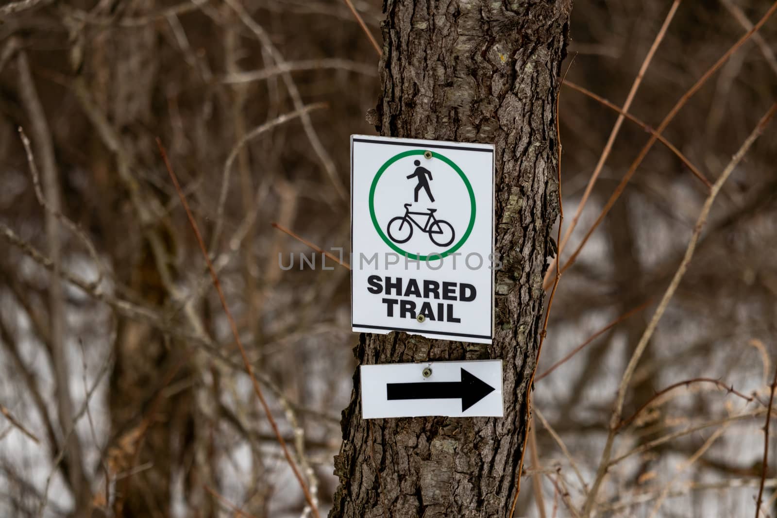 A sign nailed to a tree branch marks a trail shared by hikers on foot and cyclists through the forest with symbols and an arrow.