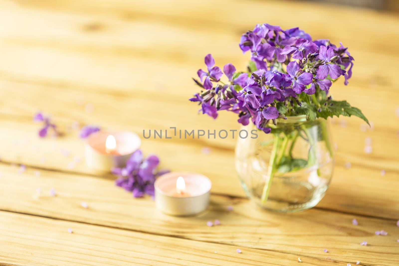 Violet flowers in glass jar and perfumed candle on natural wood table surface. Beautiful greeting card for wedding, valentines day, mothers day, easter, birthday.