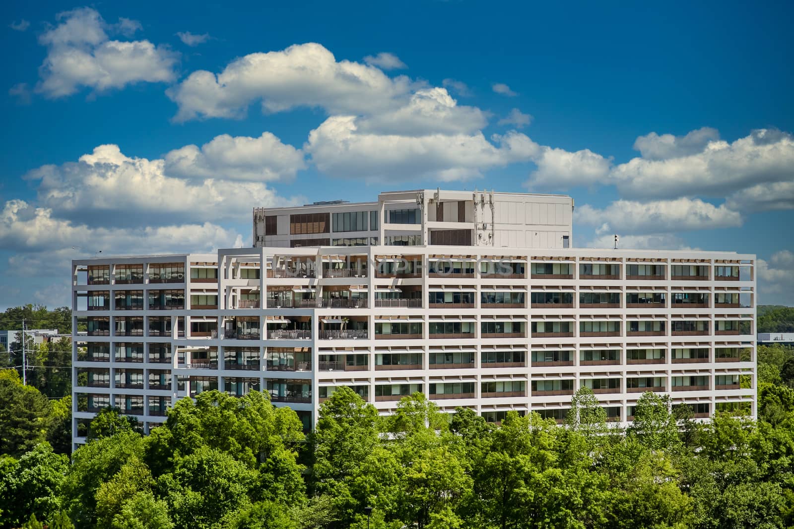 Office buildings rising from trees under blue skies