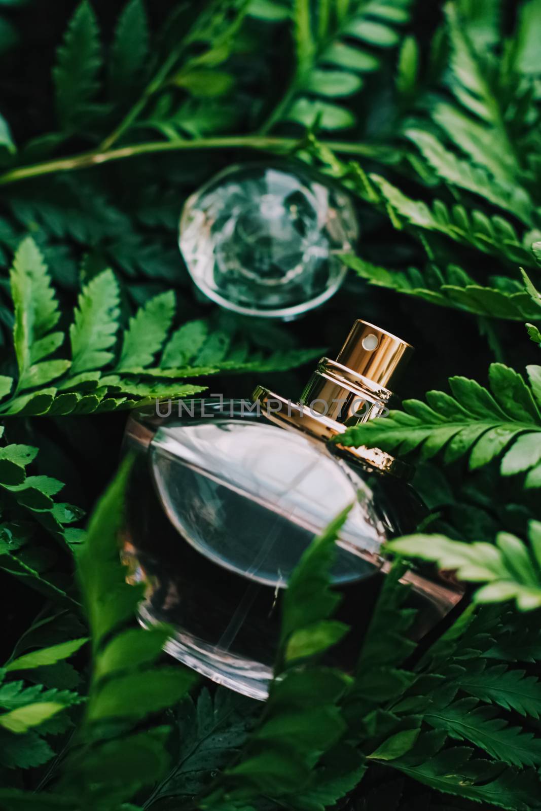 Perfume bottle with aromatic tropical scent in nature, luxury fragrance by Anneleven