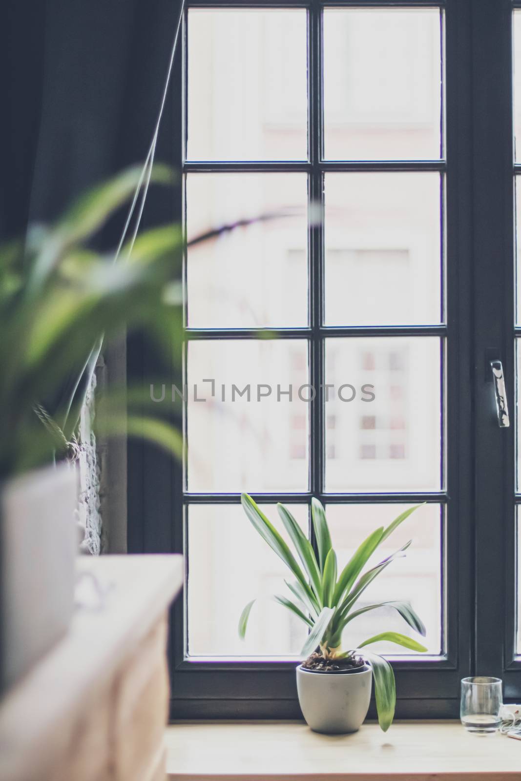 Window in a modern room, interior design by Anneleven