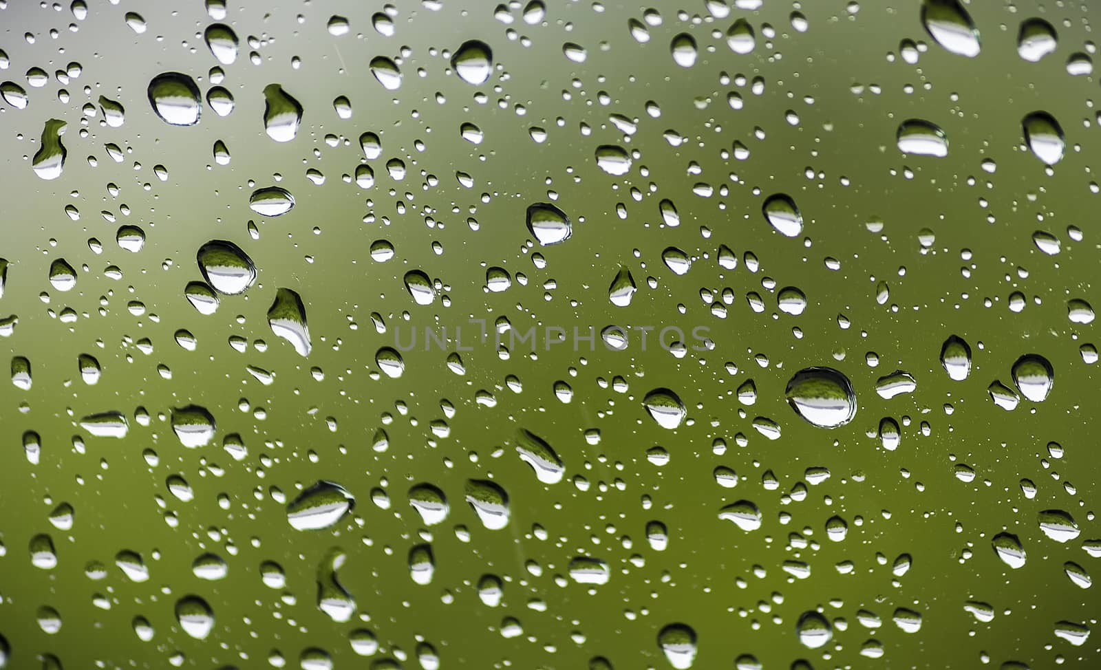 Texture of bright rain drops in the foreground on a green background