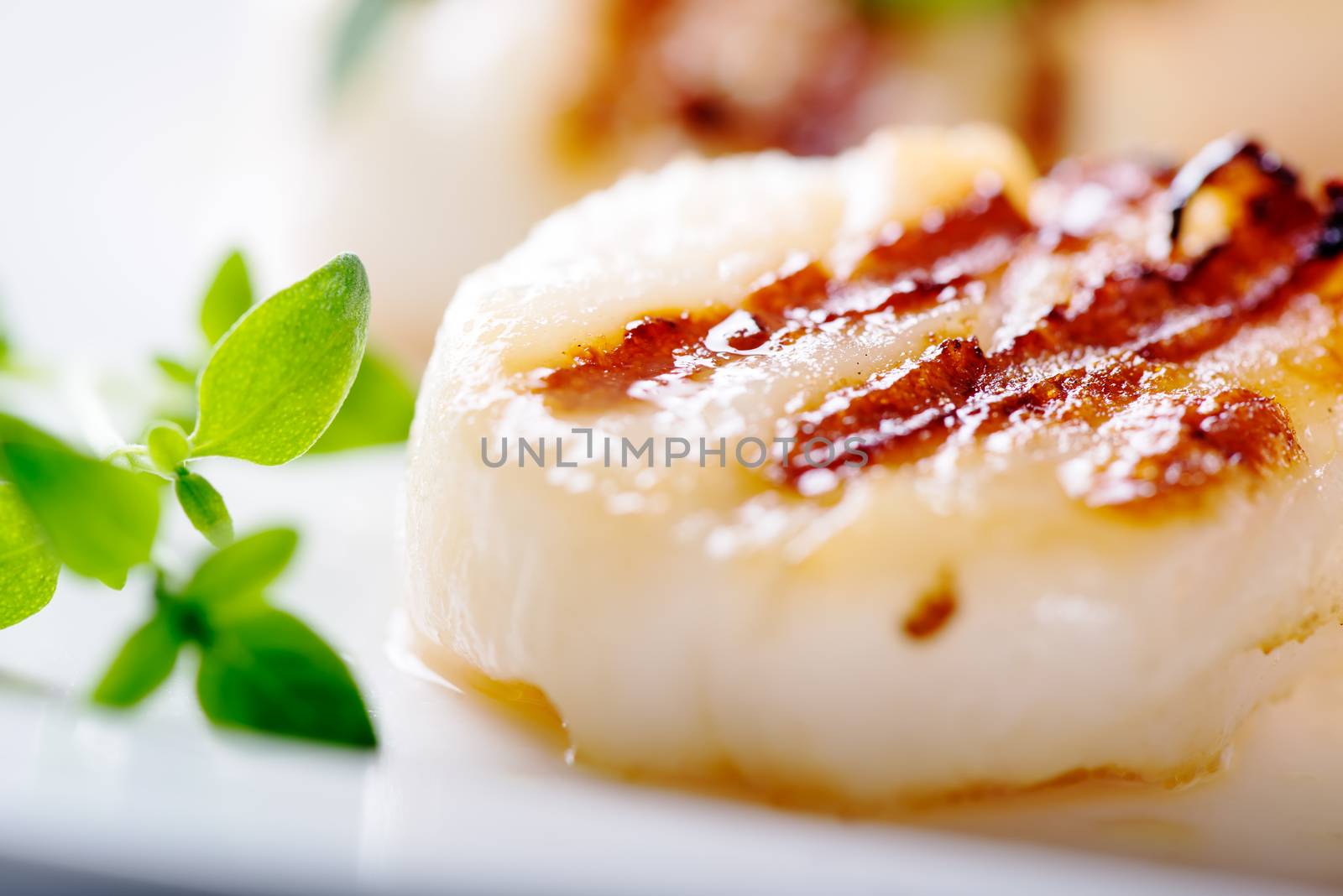 Grilled scallops with thyme leafs on white plate, close up