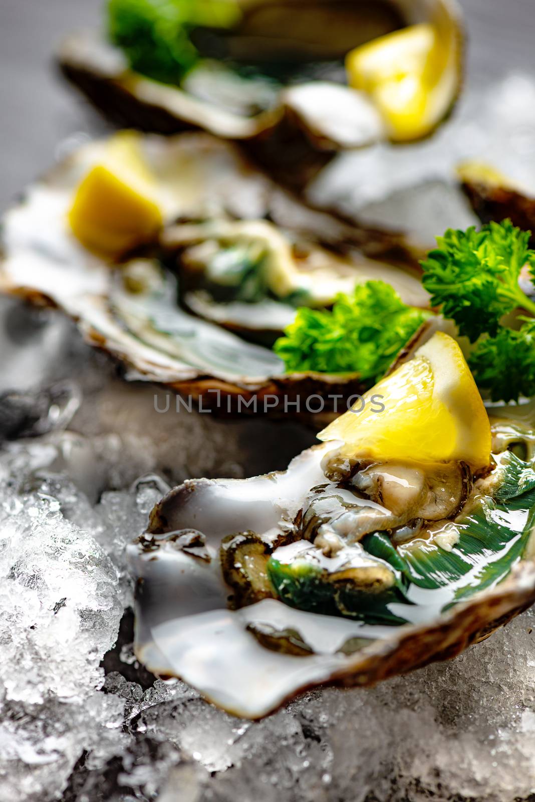 Raw opened oysters on crushed ice with lemon and parsley