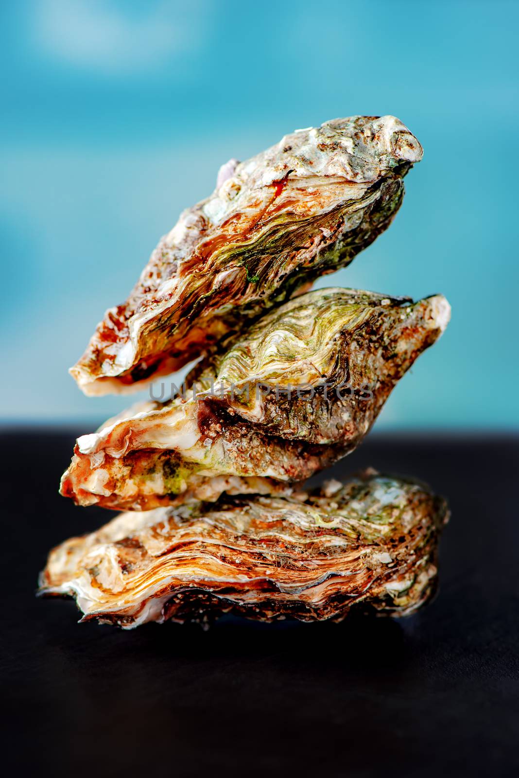 Raw oysters on stone surface