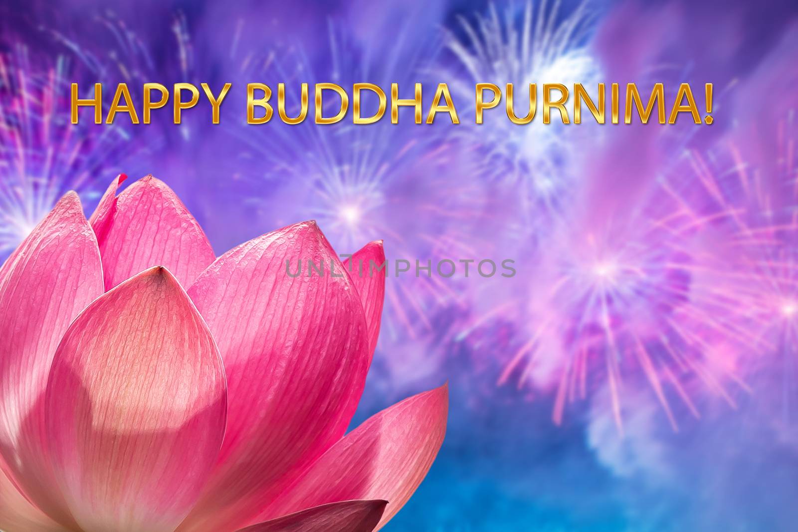 The concept of Purnima Buddha day: a silhouette of a pink Lotus flower against the background of a festive salute. by bonilook