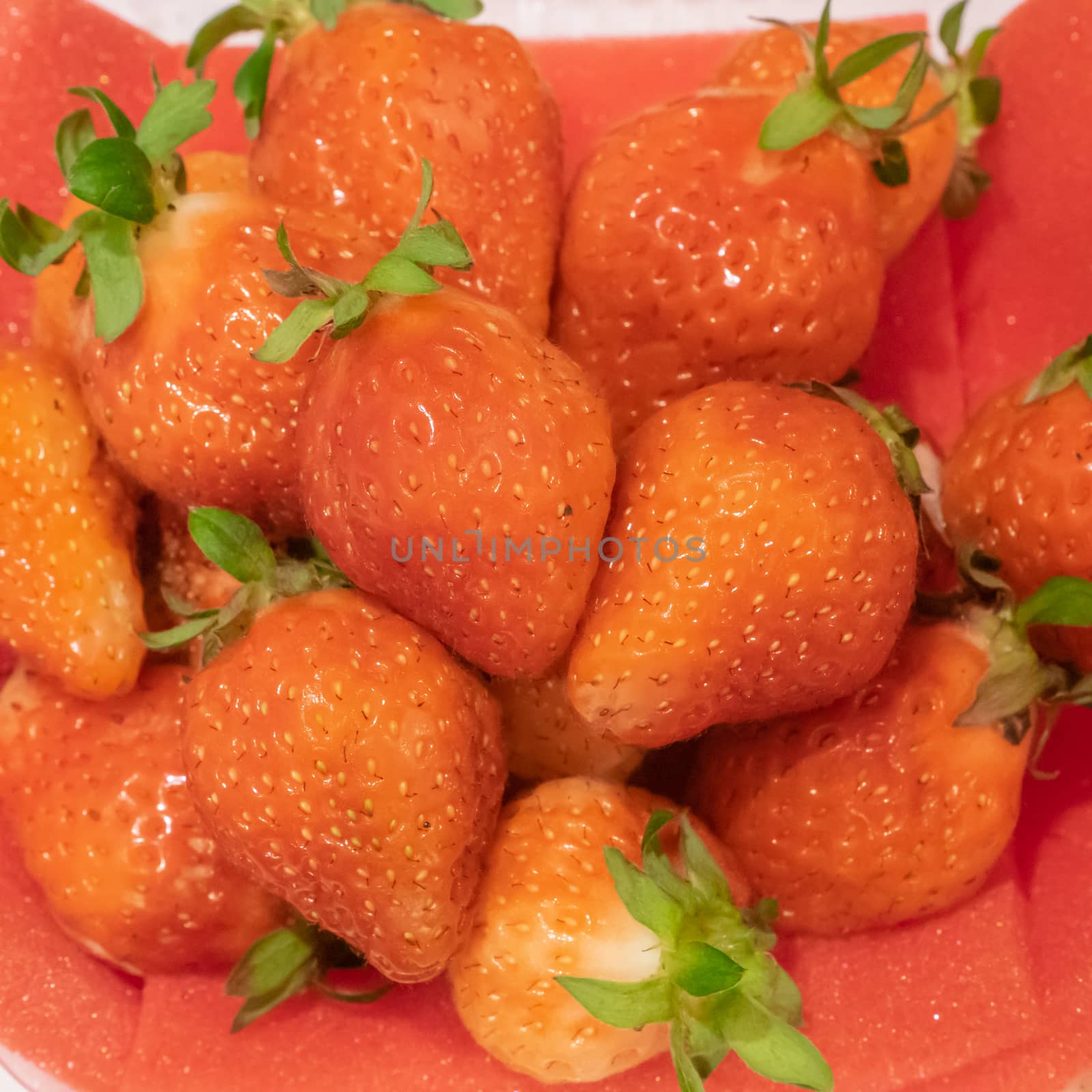 The close up of delicious strawberry fruit on red foam pad background.