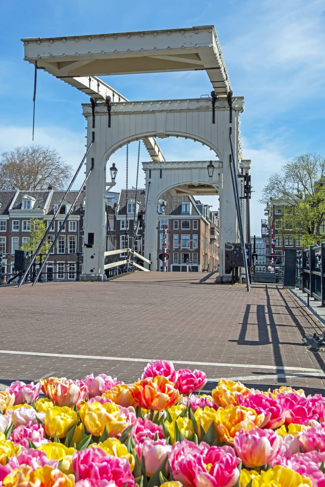 City scenic from Amsterdam in spring at the Tiny bridge in the Netherlands